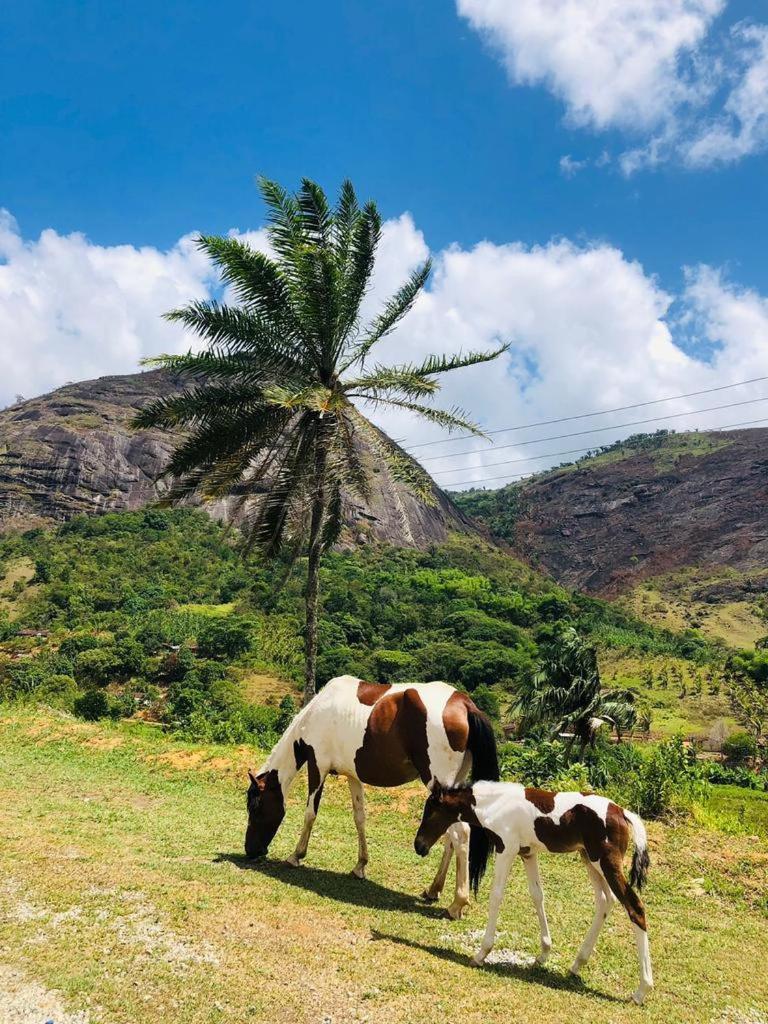 Hotel Fazenda Pedra Do Rodeadouro بونيتو المظهر الخارجي الصورة